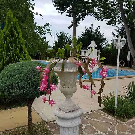 Prima 1 2*